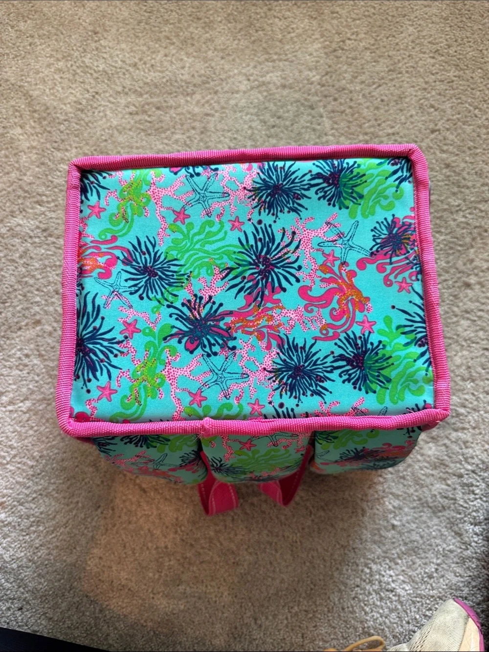 Lilly Pulitzer Shower Caddy-Dirty Shirley